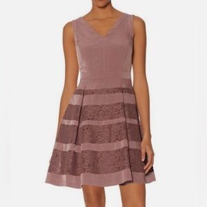 The Limited Elegant Mauve Lace Dress NWOT 8